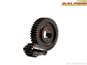 Secondary transmission HTQ Z 15/41 (pressed coupling) - Aprilia Atlantic 125 H2O 4T E2 ('03-'06) - Malossi