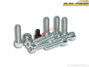 Set bolt cilindru (1916185) - Malossi???