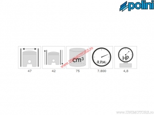 Set cilindru (diametru 47mm / 75cc) - 133.0072 - Fantic Issimo 50 AC 2T - Polini
