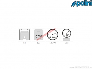 Set cilindru (diametru 52mm / 107cc) - 119.0093 -  Polini