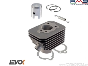 Set cilindru motor D43.00 bolt 10 - Piaggio Ciao / Boxer / Bravo / Si 2T AC 65cc - RMS