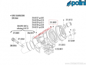 Set O-Ring Testata (diametro 47,6mm / 10 pezzi) - 251.0032 - Polini