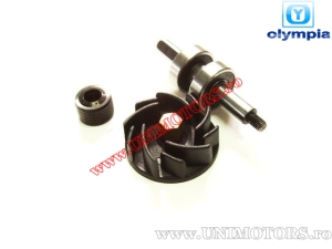 Set reparatie pompa apa -  Gilera / Piaggio / Italjet 125cc/150cc/180cc 2T - (Olympia)