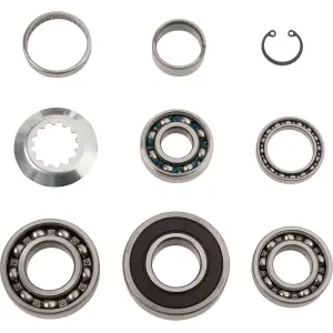 Set rulmenți transmisie - 11060110
