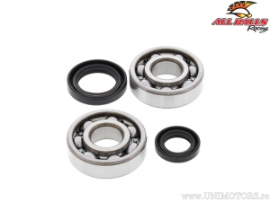 Set rulmenti si simeringuri ambielaj - Honda CR125R - All Balls