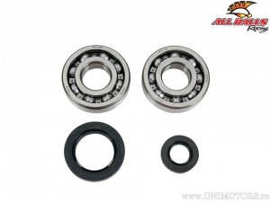 Set rulmenti si simeringuri ambielaj - Honda CR250R - All Balls