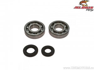 Set rulmenti si simeringuri ambielaj - Kawasaki KX250 - All Balls