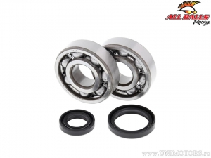 Set rulmenti si simeringuri ambielaj - Suzuki RM125 - All Balls