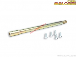 Set ruota / perno forcella F32S (199900) - Malossi???