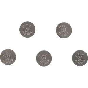 Shimuri de supapă de substituição - 09261377