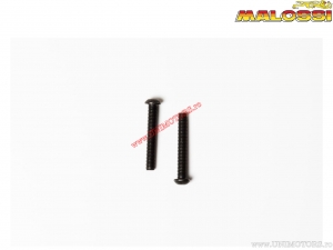 Sport-Windschild dunkler Rauch (360x340x3mm) - MBK Evolis II ABS 125i H2O 4T E4 ('18) - Malossi