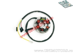 Stator Minarelli AM6 50cc (Ducati)