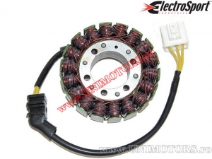 Statore Honda CB900 F Hornet ('02-'07) - (Electrosport)