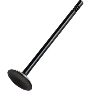 Supapă de înlocuire - Neagră - 09263104