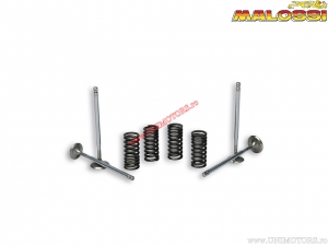 Supape 4T chiulasa originala (cu arcuri) - Benelli Adiva 250 H2O 4T E2 '06-'07 (Quasar) - Malossi