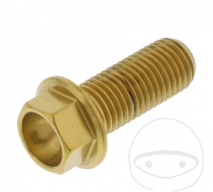 Surub cap hexagonal Pro Bolt M10 x 1.25 x 25 mm inox A4 auriu - JM