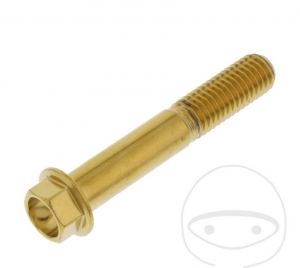 Surub cap hexagonal Pro Bolt M10 x 1.25 x 60 mm inox A4 auriu - JM