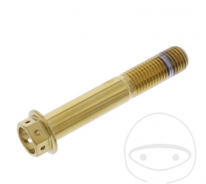 Surub cap hexagonal Pro Bolt M10 x 1.25 x 60 mm inox A4 Racing auriu - JM