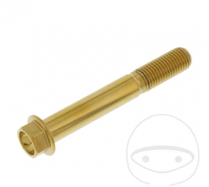 Surub cap hexagonal Pro Bolt M10 x 1.25 x 70 mm inox A4 auriu - JM