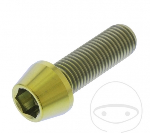 Surub cap rotund conic Pro Bolt M10 x 1.25 x 30 mm inox A4 auriu - JM