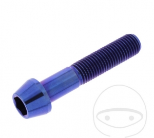 Surub cap rotund conic Pro Bolt M10 x 1.25 x 50 mm inox A4 albastru - JM