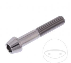 Surub cap rotund conic Pro Bolt M10 x 1.25 x 55 mm inox A4 - JM