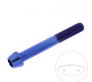 Surub cap rotund conic Pro Bolt M10 x 1.25 x 75 mm inox A4 albastru - JM