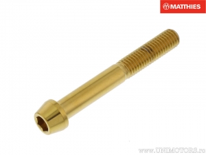 Surub cap rotund conic Pro Bolt M8 x 1.25 x 50 mm inox A4 auriu - JM