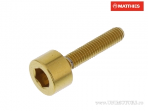 Tankdeckelschraube Pro Bolt M4 x 0.50 x 20 mm Edelstahl A4 gold - JM