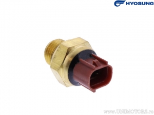Thermocouple probe radiator - Hyosung GV 125 S Aquila Euro4 CBS ('18-'19) / GV 125 S Aquila Euro5 CBS ('20-'23) - Hyosung