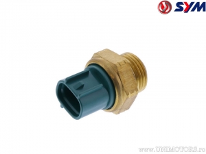 Thermocouple probe radiator - SYM Quad Raider 600 (2008-2014) - SYM