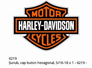Tornillo, cabeza abotonada hexagonal, 5/16-18 X 1 - 4219 - Harley-Davidson