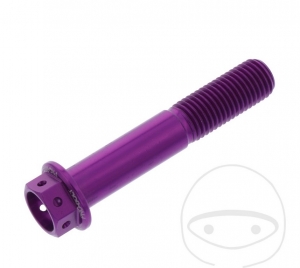 Tornillo de cabeza hexagonal Pro Bolt M10 x 1.25 x 55 mm aluminio Racing violeta - JM