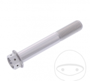 Tornillo de cabeza hexagonal Pro Bolt M10 x 1.25 x 65 mm de aluminio Racing plateado - JM