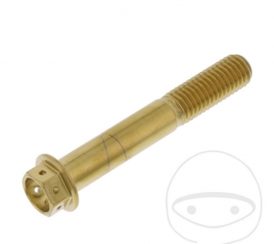 Tornillo de cabeza hexagonal Pro Bolt M10 x 1.50 x 65 mm de acero inoxidable A4 Racing dorado - JM