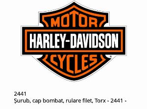 Tornillo de cabeza redonda Torx roscado - 2441 - Harley-Davidson