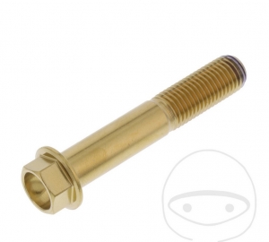Tornillo de tapa hexagonal Pro Bolt M10 x 1.25 x 57 mm de acero inoxidable A4 dorado - JM