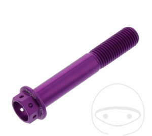 Tornillo de tapa hexagonal Pro Bolt M10 x 1.25 x 60 mm aluminio Racing violeta - JM