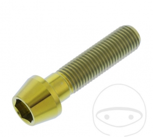 Tornillo redondo cónico Pro Bolt M10 x 1.25 x 40 mm de acero inoxidable A4 dorado