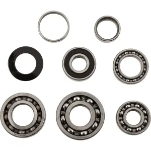 Transmission Bearing Kit - 11060128