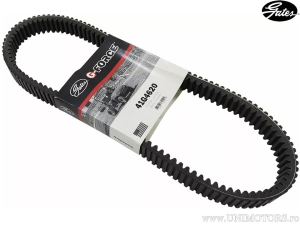 Transmission belt 36x968 - ATV CF Moto CForce / Terralander / Tracker UForce / X8 / ZForce 4T LC 800-850-1000cc - Gates