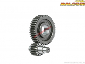 Transmission secondaire HTQ Z 16/42 - Aprilia Atlantic 200 H2O 4T E2 ('03-'06) / Piaggio X9 Evo 200 H2O 4T E2 ('03) - Malossi