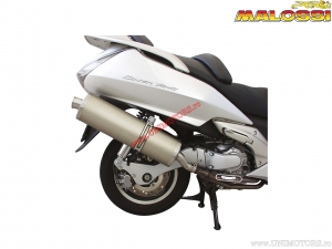 Uitlaatsysteem Maxi Wild Lion (3212283) - Honda Silver Wing 600i H2O 4T E2 '01-'10 (EU-goedgekeurd) - Malossi