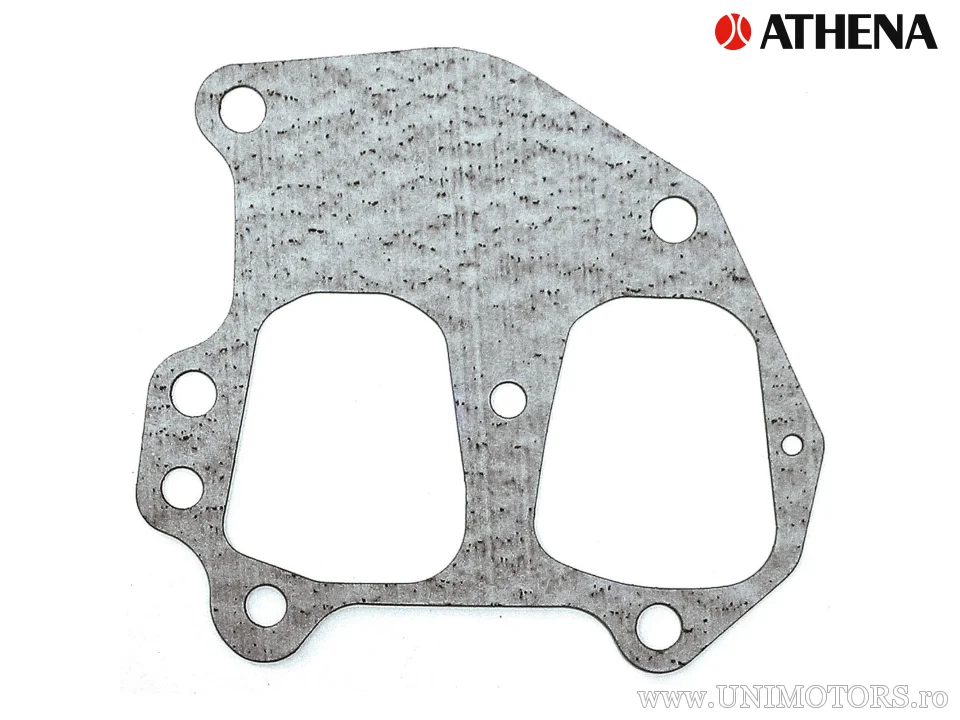 Uscușelcă Athena, Johnson 318294 - Athena