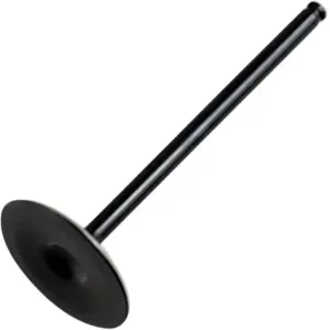 Valvola di Ricambio - Nera - 09263107