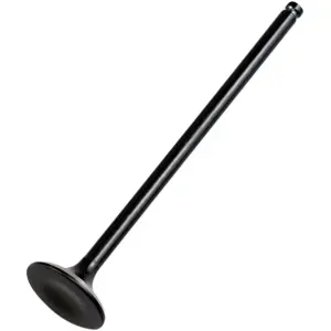 Valvola di Ricambio - Nera - 09263112