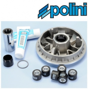 Variator complet - Honda FES Pantheon ('98-'02) 2T LC 125-150cc - Polini