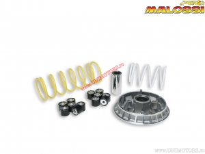 Variator Multivar 2000 (5111261) - Honda Pantheon 125 H2O 2T E1 ('98-'02) / Pantheon 150 H2O 2T E1 ('98-'02) - Malossi