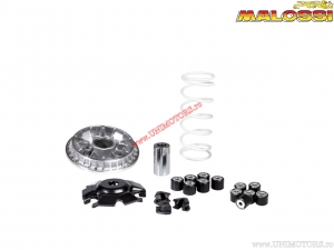 Variator Multivar 2000 (5118776) - Honda ADV 125i H2O 4T E5 ('21->) / Forza ABS 125i H2O 4T E5 ('21->) - Malossi