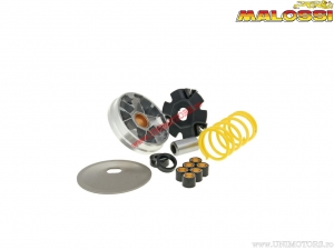 Variator Multivar (513863) - Piaggio Boss 50 AIR 2T ('88-'89) / Grillo A.E. 50 AIR 2T ('90-'96) - Malossi